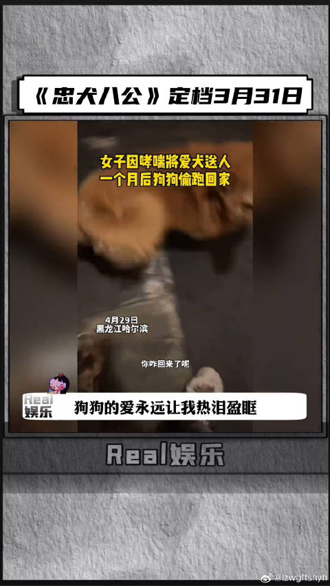 忠犬八公