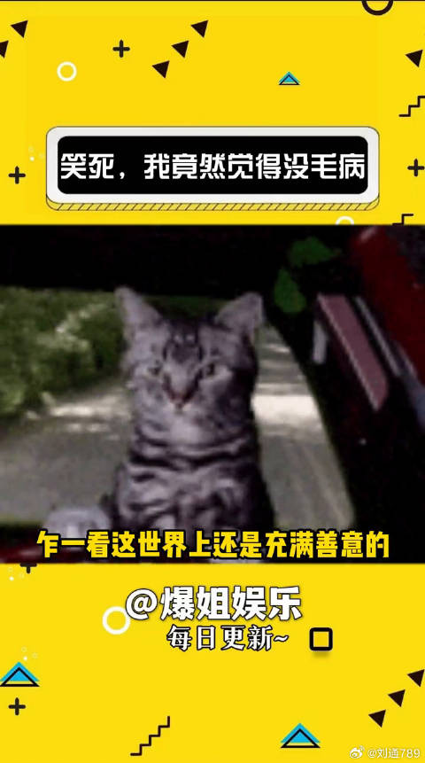果然在卧龙身边必有凤雏万万没想到 微博VC计划