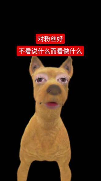 一位女性正伸出援手，支持另一位坚韧前行的女性