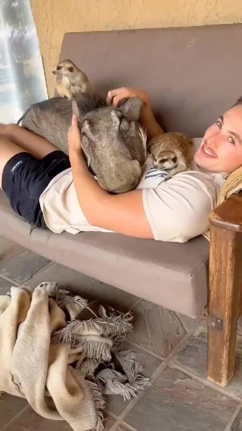 有没有一种现实版中的狮子王的感觉