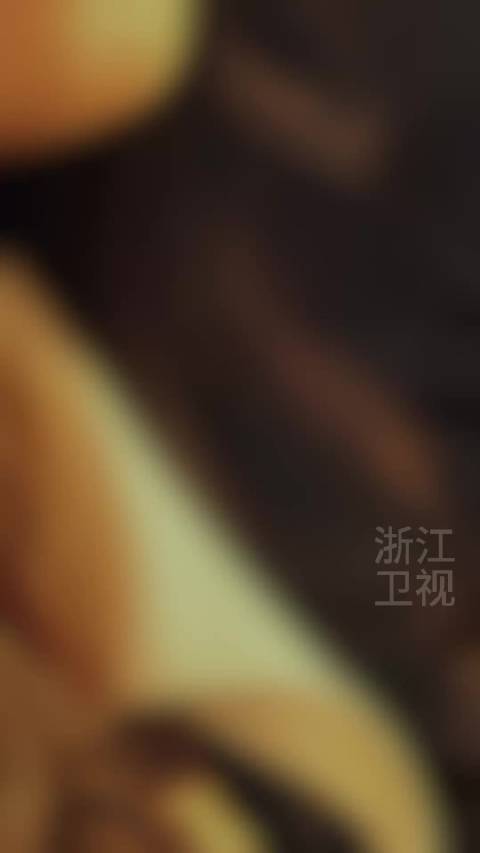 浙江卫视热播《楚乔传》《知否》《风吹半夏》《小城大事》