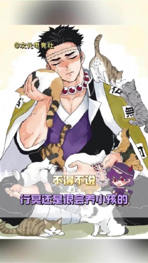 幻视大猫看小猫出去交朋友了悲鸣屿行冥 动漫 二次元