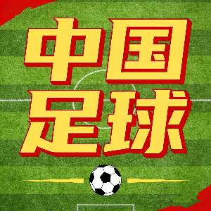 记者谈海港：一夜回到2013年第一次踢德比的实力，输1个不错了