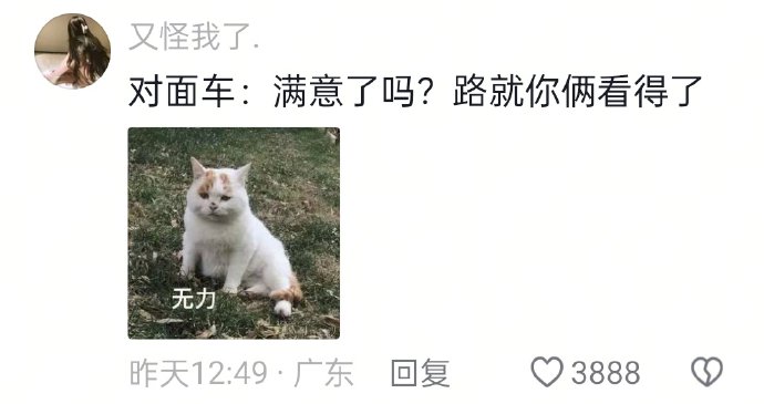 车主闪灯提醒远光反遇改装车灯，对方刷到视频后回应将整改
