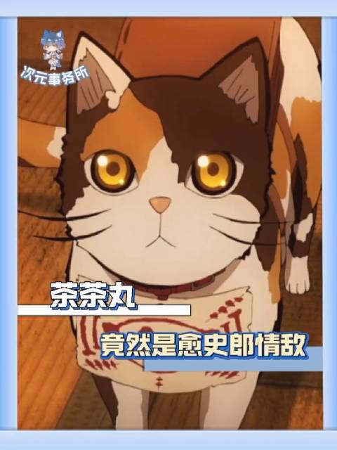 所以茶茶丸和愈史郎每晚上抱着哭想珠世吗鬼灭之刃 动漫 珠世 愈史郎 茶茶丸