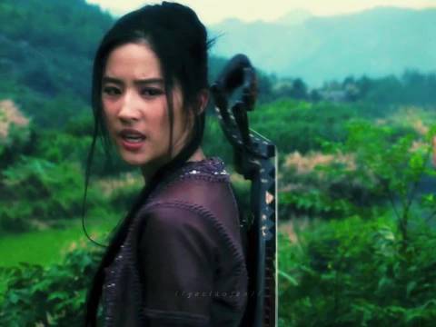 少年人的恨意是一把淬火未凉的利剑 电影｜刘亦菲｜功夫之王