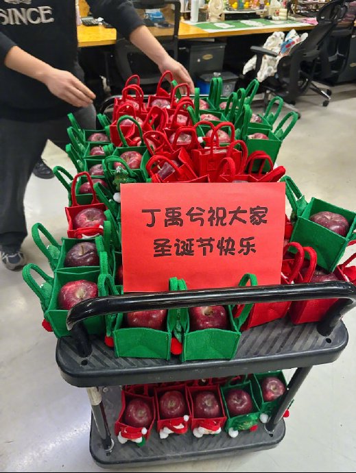 丁禹兮的‘付出型人格’在娱乐圈口碑如何？