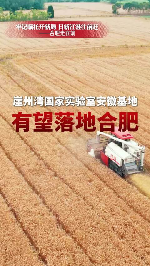 崖州湾国家实验室安徽基地有望落地合肥