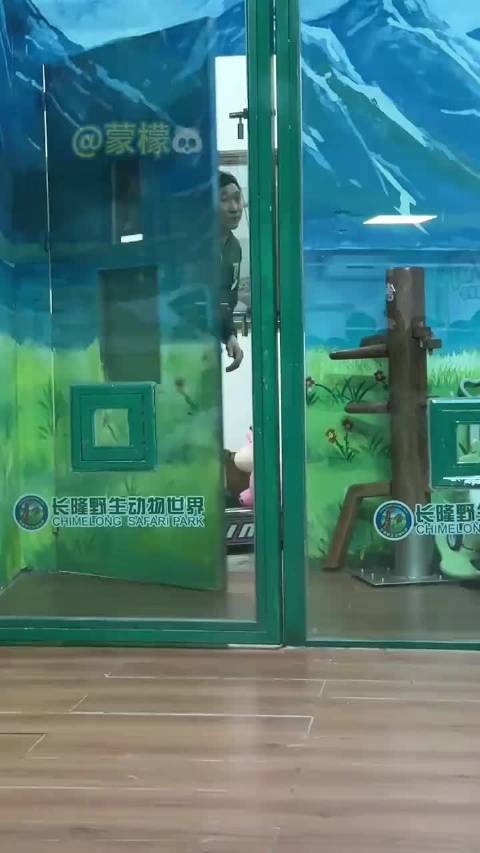 妹猪，中国人自己的蜡笔小新 （转载蒙檬）