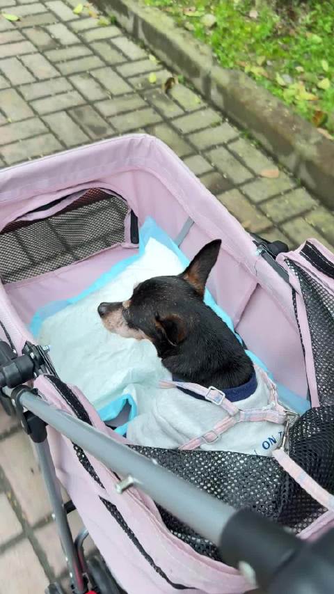 一起去拿快递