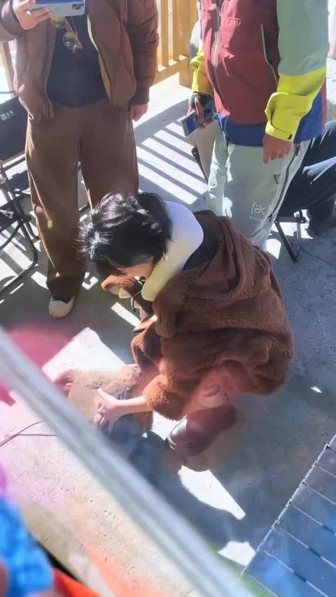 万茜| | 万茜日喀则文旅形象大使 炸毛小狗与小狗