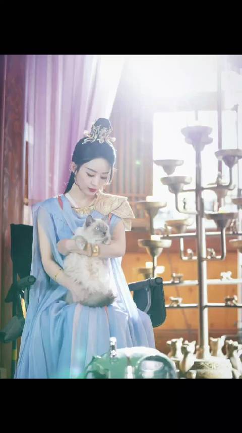 赵丽颖晒王爷撸喵图开启周一