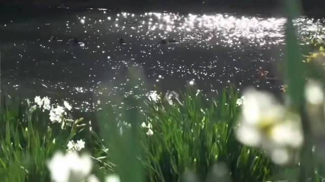 春风拂面明星写真展现春日质感