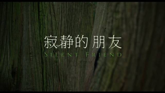 梁朝伟新片寂静的朋友4月25日内地上映