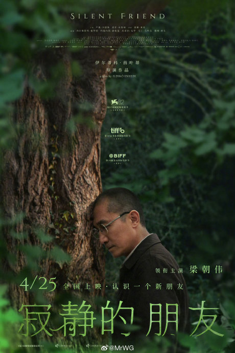 寂静的朋友