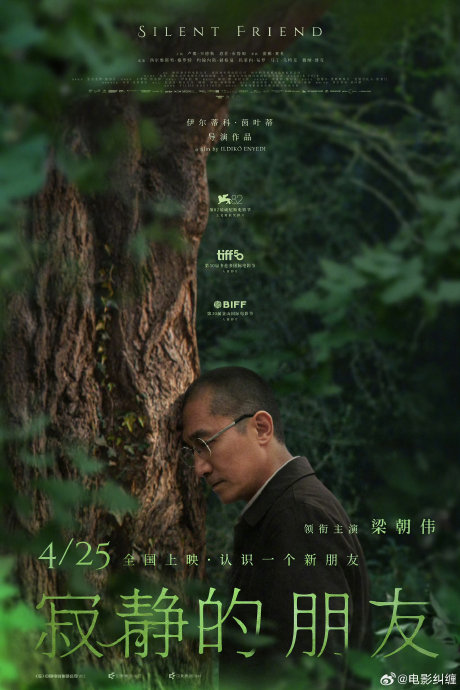 梁朝伟文艺新片《寂静的朋友》定档4月25日，百年银杏见证时空对话