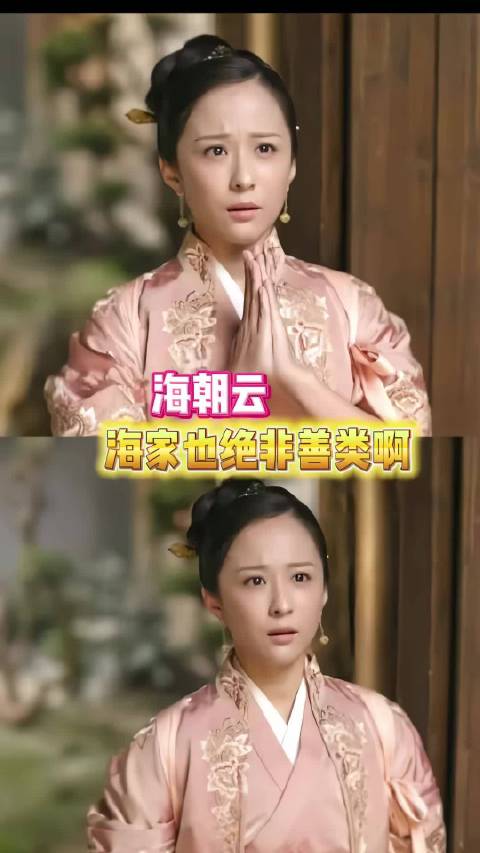 感觉海家的故事也能单开一本啊！ 海朝云、知否
