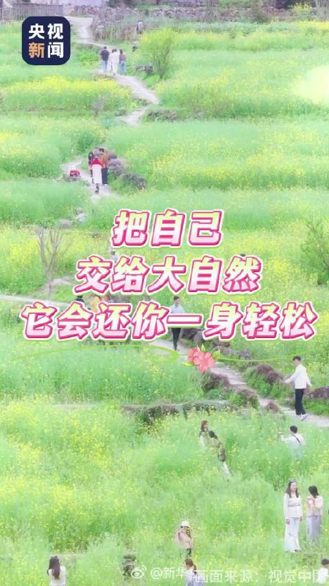刘宇宁献唱月鳞绮纪伤逝曲玉眠登腾讯音乐榜