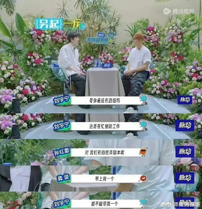 孙红雷和刘宇宁在综艺《开始推理吧》里的合作效果如何？