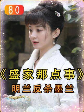 盛家那点事儿