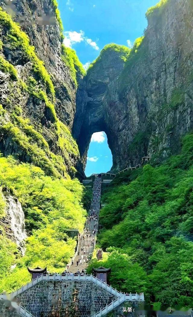 仙境张家界!春季限定奇峰云海全攻略,解锁《阿凡达》魔界秘境‌
