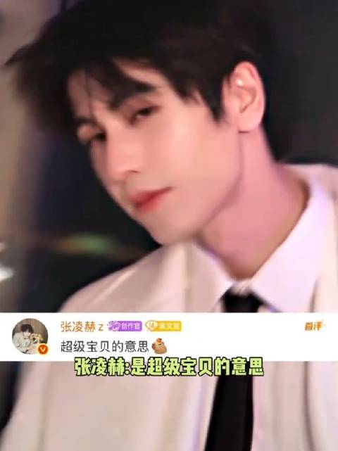 张凌赫全素颜出镜环保纪录片，真实状态引关注