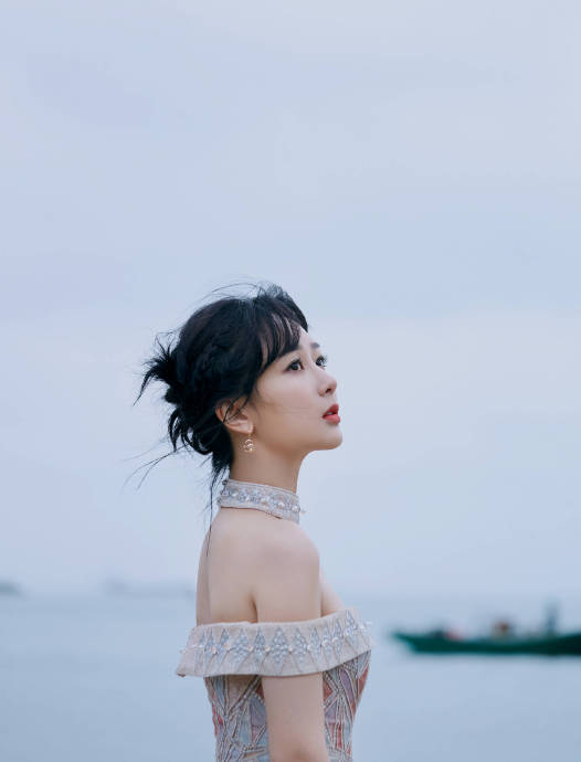 杨紫后援会重组后的新团队将如何建立财务透明和反馈机制？