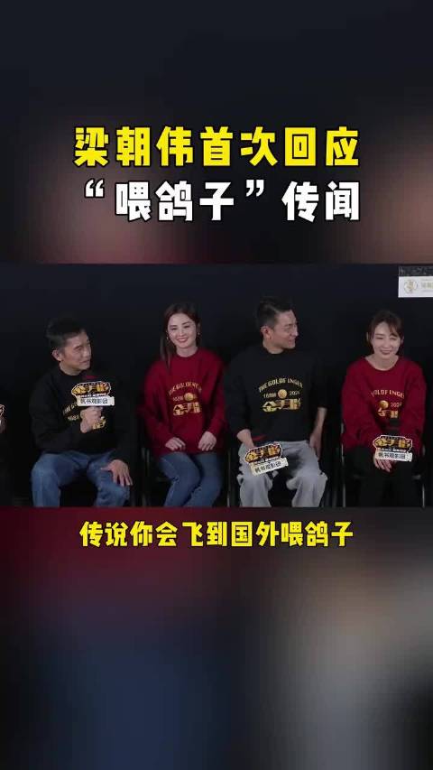 这不奇怪，毕竟梁影帝是想喂鸽子，就买张机票飞到巴黎喂鸽子的人