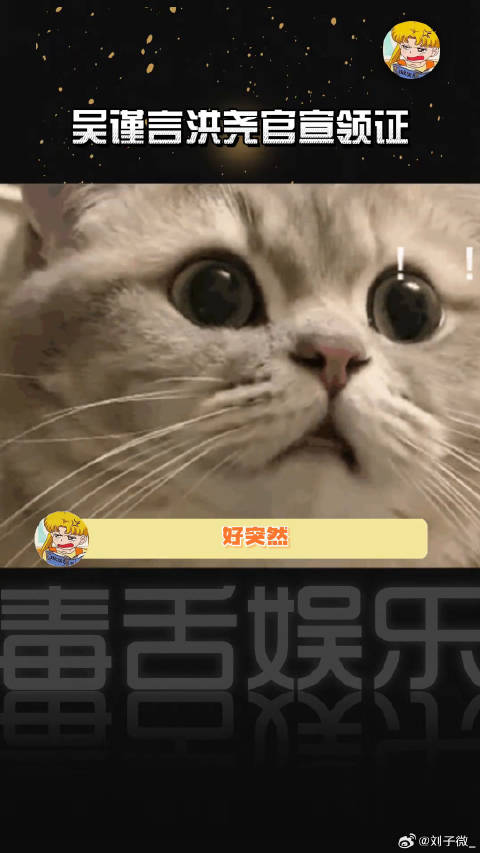姐这官宣真的好突然！送上祝福~ 吴谨言洪尧官宣结婚 洪尧