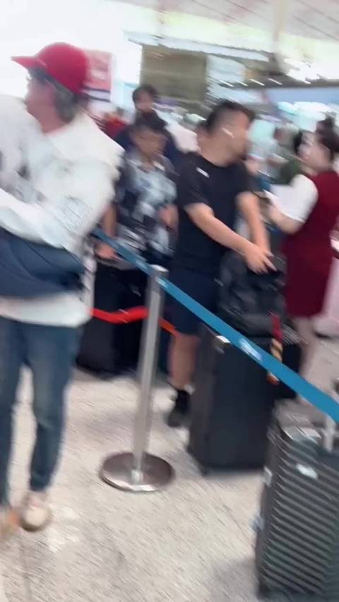 杨紫亮相引关注