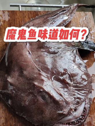 把动物世界当美食节目来看？顺口溜 能说会道小堂堂 吃货日常 吃货日常记录