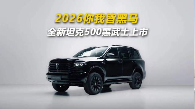 坦克500黑武士上市，黑化美学颠覆传统设计