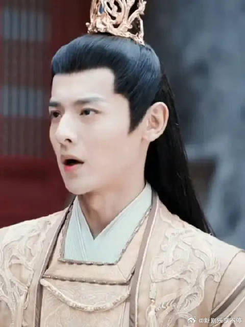 琅琊王也有很多身不由己吧