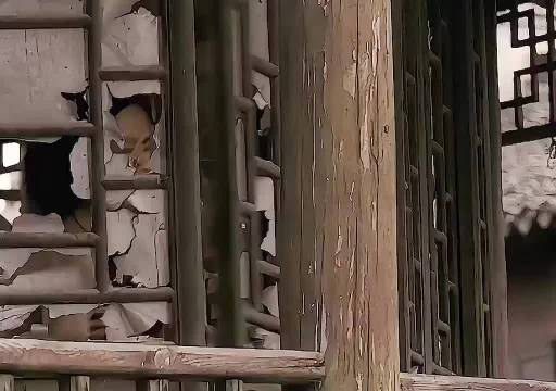 大狗和三狗违背了人性道德，庞青云决定就地正法