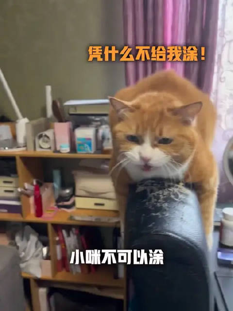 papi酱女儿小咪涂指甲油萌态曝光