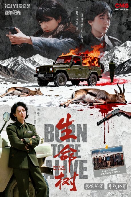 杨紫在《生命树》杀青后表达了哪些不舍和感悟？