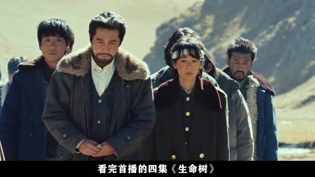 正午阳光还是太权威了！·生命树·生命树杨紫守护高原绝境·父母爱情·欢乐颂·