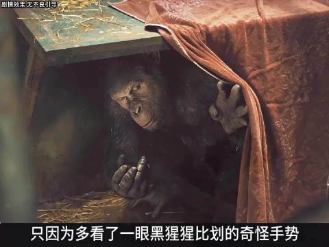 高分科幻电影《猩球崛起》