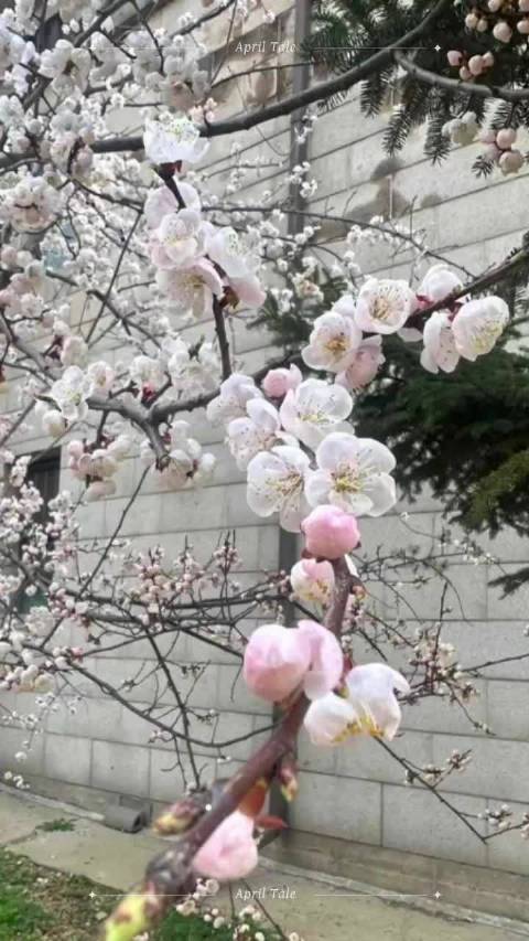 肖战周六早安问候粉丝，传递乐观积极生活态度