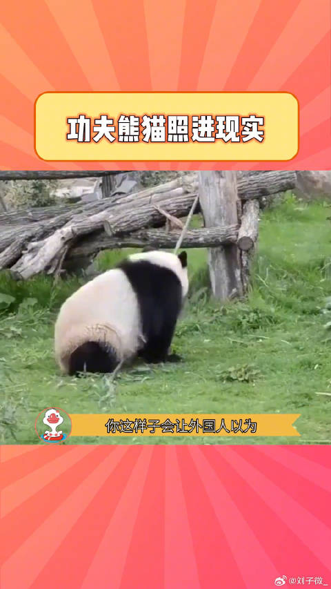 国宝不愧是国宝