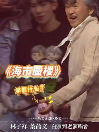 林子祥叶蒨文巡回演唱会启动，共唱白头到老