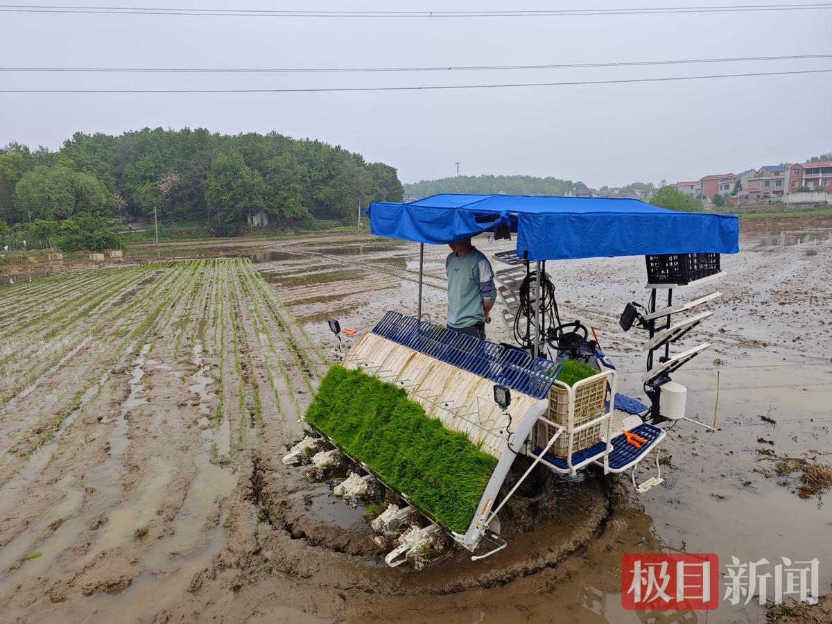 湖北大冶市：智慧农机忙春耕，科技赋能促丰收