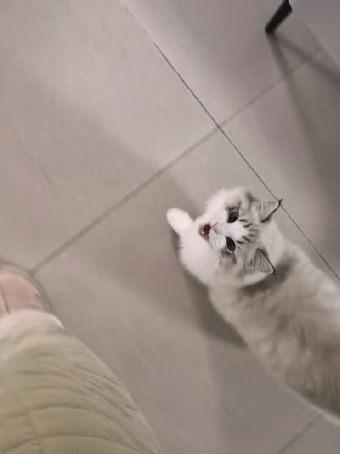 买家秀