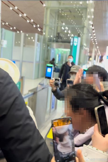 赵雅芝机场事件反映出代拍和粉丝接机存在哪些问题？