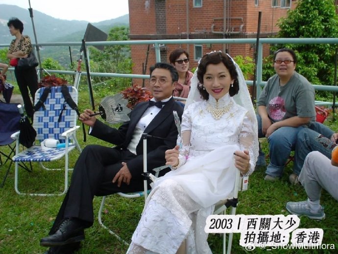 刘松仁和赵雅芝未来的工作规划中还有合作的可能吗？