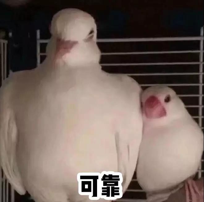 沈梦辰连续做热玛吉后脸部变薄，具体是怎样的变化过程？