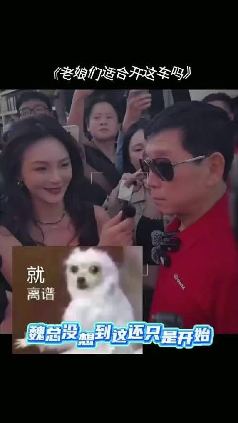 长城汽车回应女性用户适配性疑问