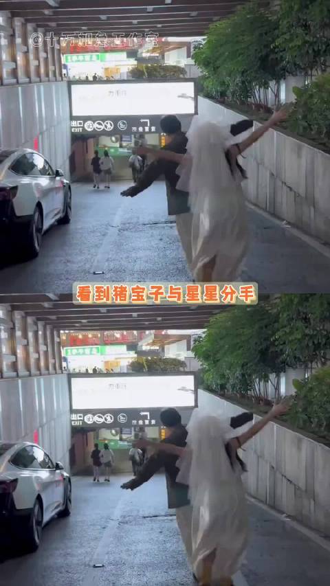 星星回应与猪宝子分手谈婚论嫁阶段及时止损获赞
