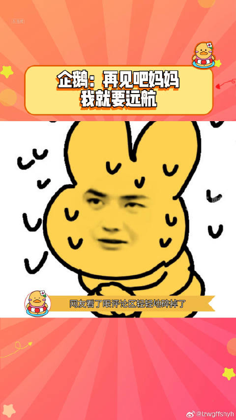 动物世界 微博VC计划