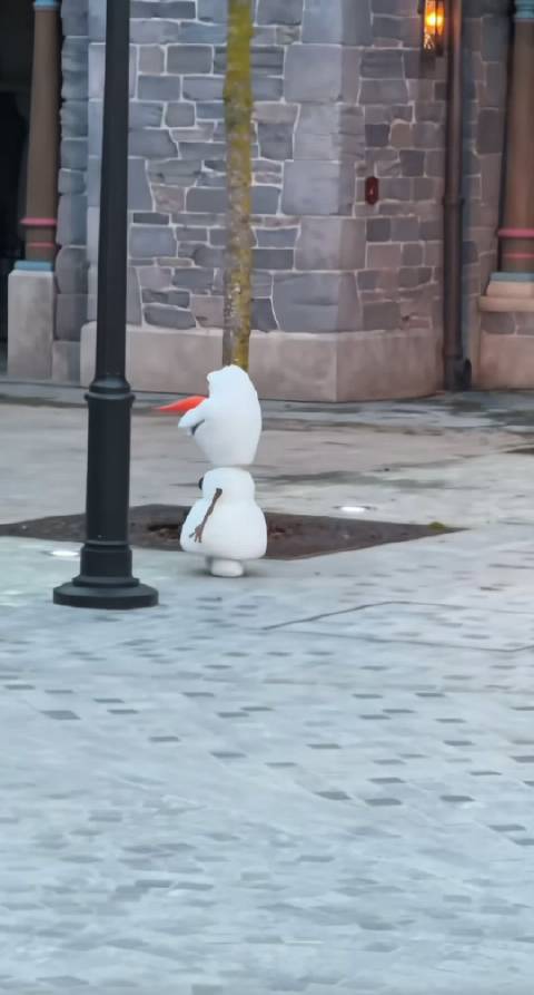 程序员把全部冰雪奇缘的剧情都传输给了他，所以 他真的以为自己就是这个雪人